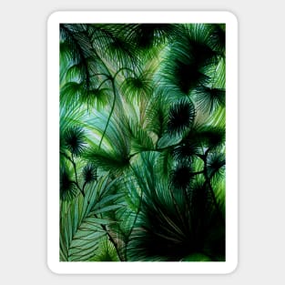 TROPICAL RAIN FOREST PALMS TREE Sticker